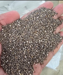 ขวดแก้วสารสกัดจากเมล็ดพืชป่าถังฉลากส่วนตัวสำหรับการส่งออกทั่วโลก - Product Image 3