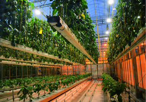 Système d'aéroponie pour serre agricole, ferme en conteneur, solution de culture verticale intérieure - Product Image 4