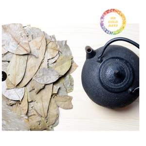 Feuilles de corossol séchées de qualité supérieure en gros du Vietnam, feuilles de graviaola pour la production de thé et le marché d'exportation, distribution mondiale - Product Image 6