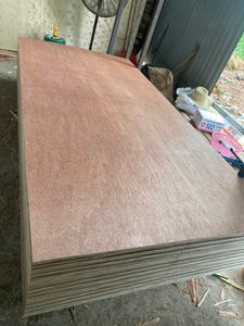 Plaque de contreplaqué Bintangor, fabricant et exportateur au Vietnam - Product Image 2