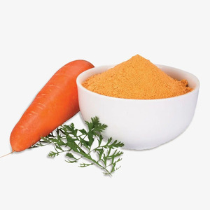 Poudre de carottes de qualité supérieure la moins chère du Vietnam pour l'exportation - Product Image 2