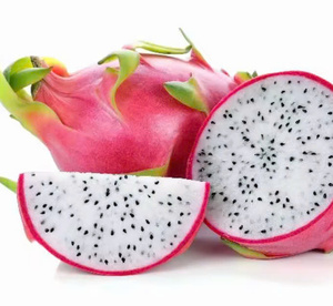 Groothandel Vers Rood Dragon Fruit Uit Vietnam Geëxporteerd Naar India China Korea Taiwan Voor Landbouw Gebruik
