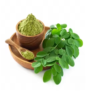 Poudre de feuille de Moringa naturelle biologique Extrait de plantes cultivées à l'état sauvage de qualité alimentaire emballé sous vide dans une bouteille Options d'emballage à tambour - Product Image 1
