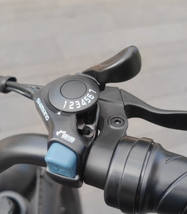 Bicicleta Eléctrica de Montaña Europea con Llantas Gruesas de 20 Pulgadas, Motor V8 de 500W-1000W 750W, Bicicleta Eléctrica de Carretera de 48v - Product Image 4