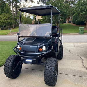 Carrito de golf eléctrico con batería de litio, precio de fábrica - Product Image 1