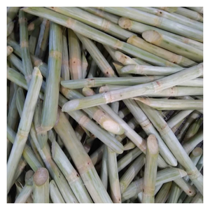 อ้อยแช่แข็งเกรดพรีเมี่ยมจากเวียดนามอ้อยแช่แข็งสดเหมาะสำหรับอุตสาหกรรมเครื่องดื่มและอาหาร - Product Image 5