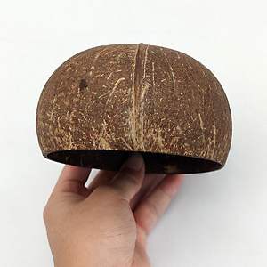 Ensemble de bol en noix de coco naturelle du Vietnam, coquille de bol en noix de coco écologique, ensemble de bol et cuillère en coquille de noix de coco - Product Image 4