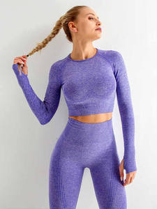 Ropa de entrenamiento personalizada al por mayor, 2 uds., conjunto de gimnasio sin costuras para mujer y trajes de Yoga - Product Image 2