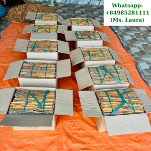 Cannelle Offre Spéciale séchée Cassia cru Vietnam 20kg Phalco Vietnam exporté bâton WS + 84 985281111 - Product Image 5