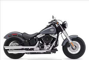ACHETER PRÊT À ROULER 2025 – Moto de tourisme Harley-Davidson FLS – Softail Slim à vendre - Product Image 6