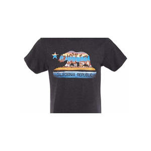 T-shirt grigia da uomo Univibe XX Large con stampa grafica California Bear Boardwalk e logo serigrafato - Product Image 2