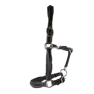 Excelente calidad de cuero de vaca argentino tradicional cosido a mano y bordado Polo cuero caballo Halter accesorio de latón macizo - Product Image 2