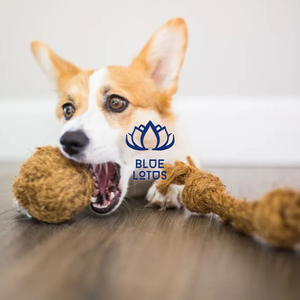 Vente chaude Eco Coir Rope Chew Toy pour petits animaux de compagnie - Product Image 1