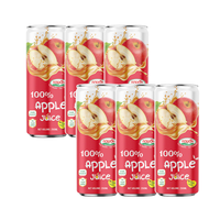 100% Appelsap In Blik 320Ml Groothandelsprijs Fruit En Groentesap Dranken Vietnam Drank Fabrikant