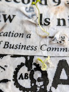 Organic <b>Plantable</b> Biodegradable <b>Paper</b> Hangtags Handcrafted Clothing Lines Labels for Apparel Packaging <b>Paper</b> Paperboard Printing - Product Image 2