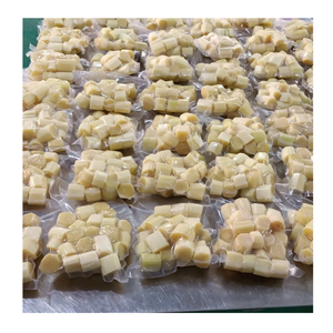 Bâtons de canne à sucre congelés IQF pelés cannes à sucre congelées exportées pour les chaînes de smoothie et l'utilisation de desserts - Product Image 2