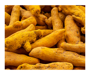 ขมิ้นดิบจากธรรมชาติใช้สำหรับอบแห้ง - Product Image 6