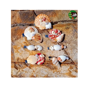 Seashells <b>Hair</b> <b>Clip</b> Natural Shell Handmade Accessory Created By Vietnamese Supplier For Elegant Daily Styling - Product Image 1