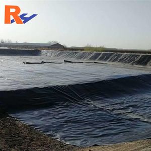 भू-मम्ब्रिन के आपूर्तिकर्ताओं ने जियोमेम्ब्रिन को मेक्सिकन जिमम्ब्रिना पेसिकुटुरा गुटेमाला का निर्माण किया - Product Image 1