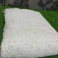 Tissu tulle fantaisie de créateur avec dentelle à paillettes brodée pour l'embellissement de mariage pour les travaux de dentelle et de broderie