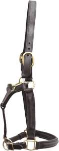 Halter de cuello de cabeza de caballo de cuero completamente elevado y acolchado con accesorios de latón Color marrón ajustable - Product Image 5