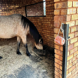 Sal para lamer animales naturales del Himalaya Rosa personalizable con cuerda de logotipo muy para perros y ganado tamaño personalizado lamiendo sal de roca - Product Image 4