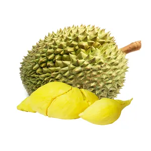 Best seller frozen durian for sale from vietnam vn frozen yellow green world durian 12 months puree
