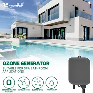 Placa cerámica de tratamiento de agua, generador de ozono para spa, Hina ppupply 220V/110V