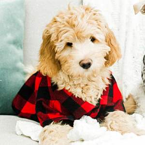 Sweat Rugby Doux et Respirant Personnalisable et Durable Disponible en Différentes Tailles Idéal pour les Équipes et les Fans - Product Image 5