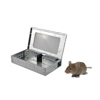 Piège à souris vivant en acier galvanisé massif de haute qualité, écologique, 20 pièces, sûr, non toxique, réutilisable, facile à installer, sans cruauté