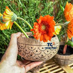 LAS MEJORES VENTAS de cuencos de coco hechos a mano, perfectos para macetas, decoración u opciones de regalo únicas. - Product Image 5