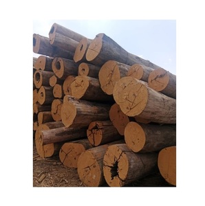 High Quality Red Pine <b>Wood</b> <b>Logs</b> Premium Grade Supplier & Manufacturer 24 Tons MOQ SOURCEPLAN GMBH - Product Image 4