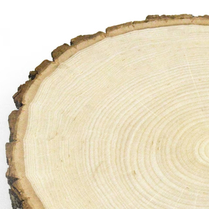 Ensemble d'assiettes en bois massif sur mesure avec bols élégants pour mariages, design rond, haute qualité, standard à vendre - Product Image 3