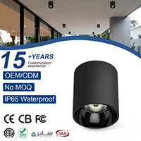 Plafonnier LED COB encastré noir cylindrique IP65 9W-36W en aluminium