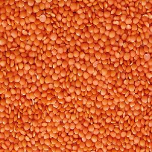 ถั่วอบแห้งธรรมชาติ - Product Image 1