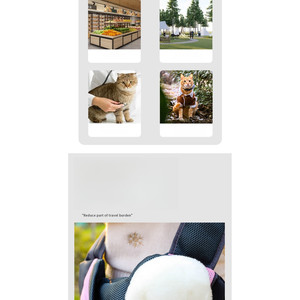 Zaino Trasportino Portatile per Animali Domestici, Borsa a Tracolla Comoda con Chiusura a Cerniera, Materiale Solido in Rete PC per Cani, Viaggi all'Aperto - Product Image 4