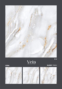 Azulejos de pared y suelo de porcelana de alta calidad impermeables de 60x60cm pulidos o mate para cocina, sala de estar, villas, oficinas y hoteles - Product Image 3