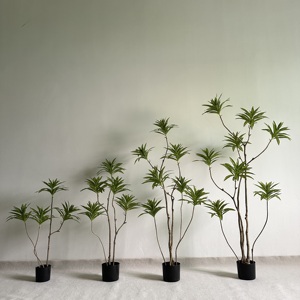 ต้นดราซีน่าประดิษฐ์-วัสดุ PE ทันสมัย สำหรับตกแต่งภายใน/ภายนอกอาคาร ใบเรียว ขนาด 120/150/180 ซม. (มีจำหน่ายขนาด 210 ซม.) - Product Image 1