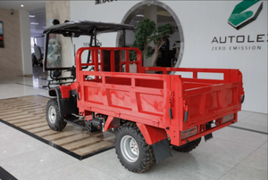 Vehículo Todoterreno de Carga ATV de 150cc 200cc 250cc 300cc - Product Image 4