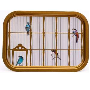 Plateau rectangulaire en métal 285x400mm Illustration de cage à oiseaux vintage Oiseaux colorés Plateau de service en cuir de rotin Caractéristique décorative - Product Image 1