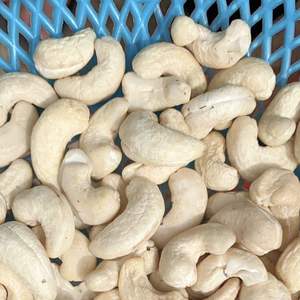 เม็ดมะม่วงหิมพานต์ในเวียดนามเม็ดมะม่วงหิมพานต์เม็ดมะม่วงหิมพานต์ Ww180ในเชิงพาณิชย์ระยะเวลาการขายที่สั้น - Product Image 1