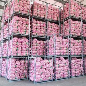 Fournisseur d'ail de Chine, vente en gros d'ail frais de haute qualité, prix bas, vente en gros en vrac à prix abordable - Product Image 1