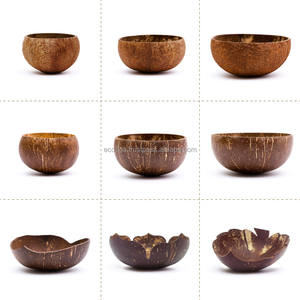 Ensemble de vaisselle en bois de noix de coco bon marché en vrac en gros/bol et cuillère en noix de coco naturelle/bol en coquille de noix de coco fabriqué par Eco2go Vietnam - Product Image 4