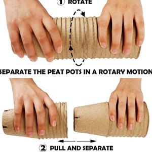 Pots de culture Coco coco - Product Image 4