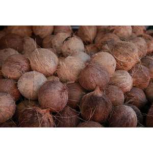 Coco seco orgánico vietnamita MOQ bajo estilo tropical fresco nutrición dulce madura mejor calidad marca Venta caliente exportación - Product Image 6