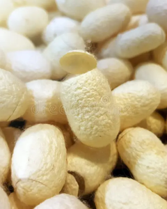 ผ้าไหมคุณภาพพรีเมียมจากรังไหม สำหรับผลิตภัณฑ์ดูแลผิวและความงาม ผู้จัดจำหน่ายขายส่ง - Product Image 6