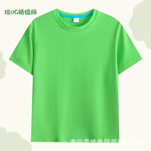T 18065 - Product Image 5