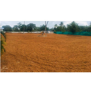 Substrat de plantation à faible teneur en EC et en pH pour les plantes, 100% tourbe de coco biologique, fournitures de jardinage, tourbe de qualité supérieure - Product Image 6