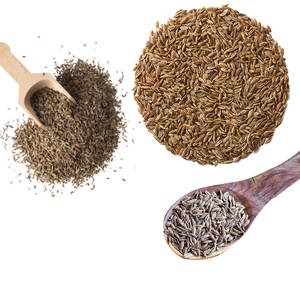 ผักชีลาว | ผลิตภัณฑ์แต่งกลิ่นรสระดับโลกสำหรับแบรนด์เครื่องปรุง - Product Image 1