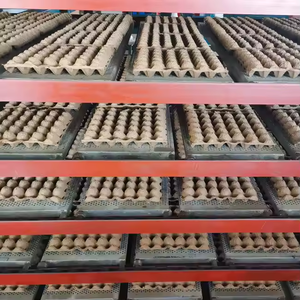 เครื่องขึ้นรูปถาดใส่ไข่เยื่อกระดาษสายการผลิตถาดไข่ - Product Image 4